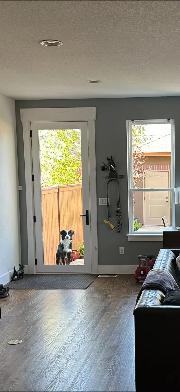 Patio door and adjacent window installation in a Colorado home